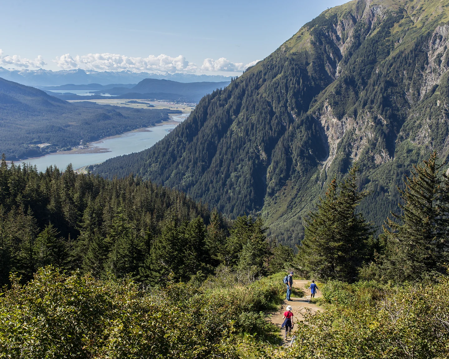 Mt. Roberts, AK, 2015