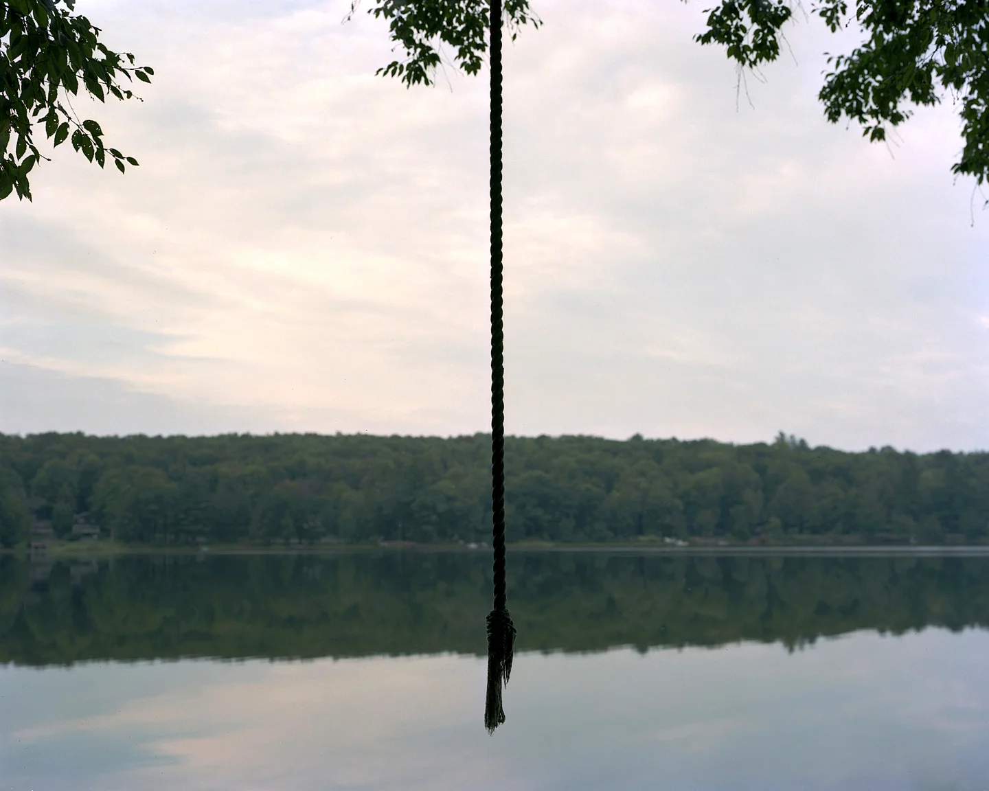 Rope Swing, 2014