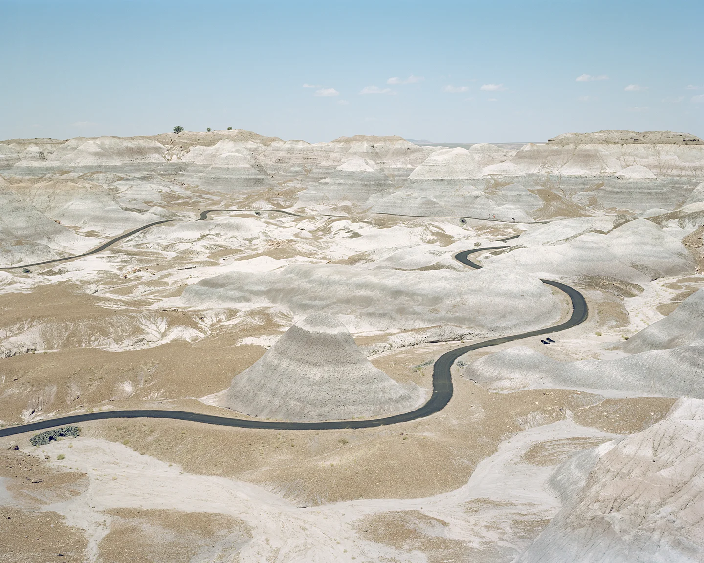 Painted Desert Walkway, 2010