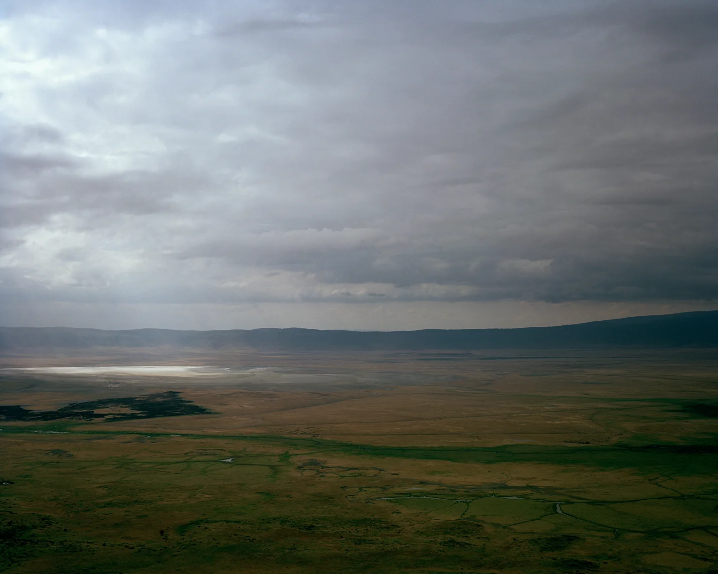 Ngorongoro Crater, 2006