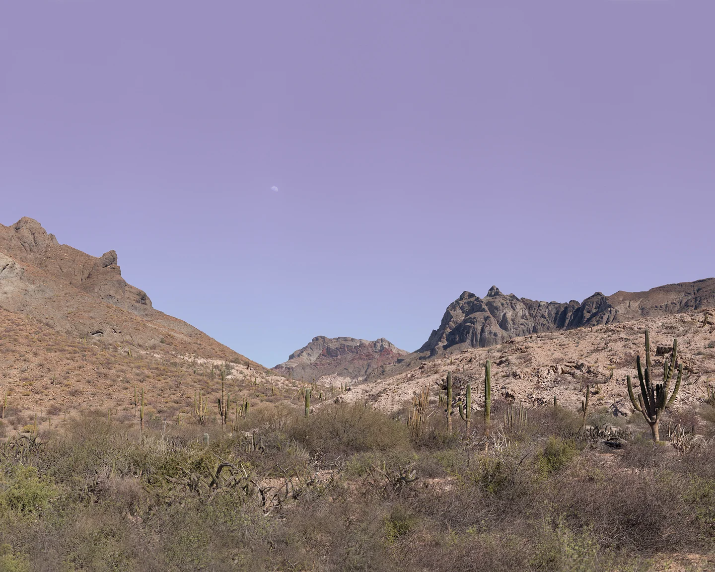 Moonrise, 2016