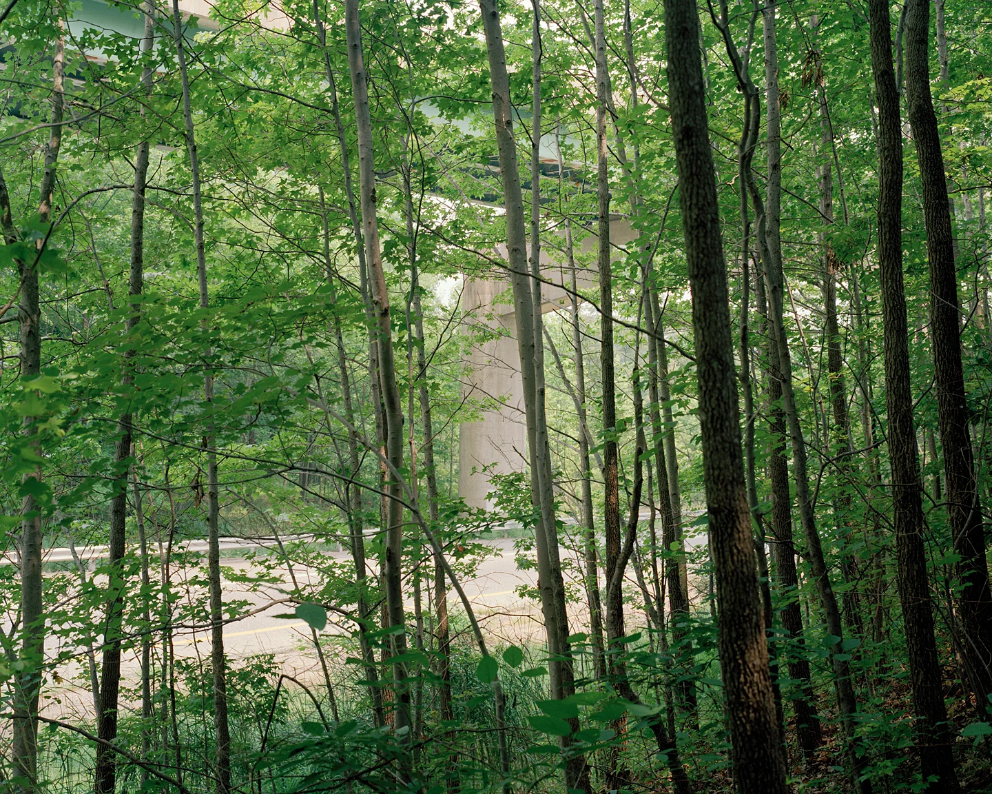 695 Offramp, 2005