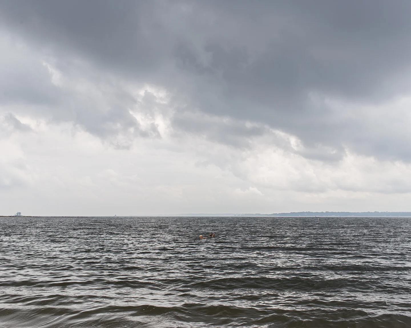 Pelham Bay, 2016