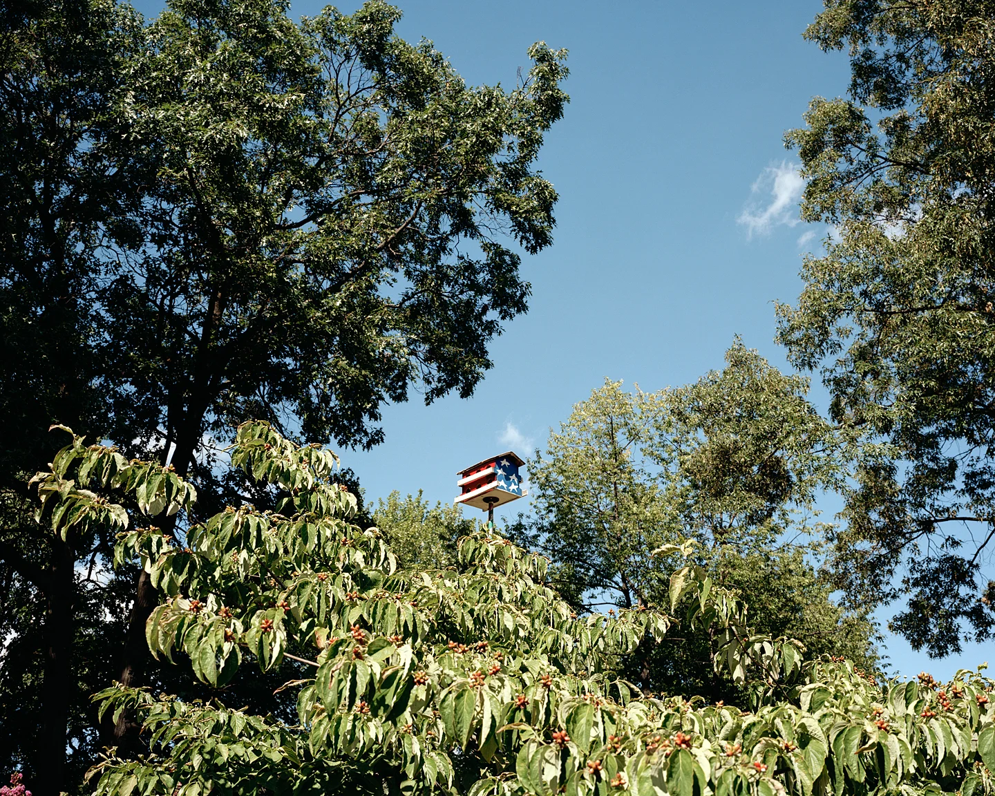 Birdhouse, 2011