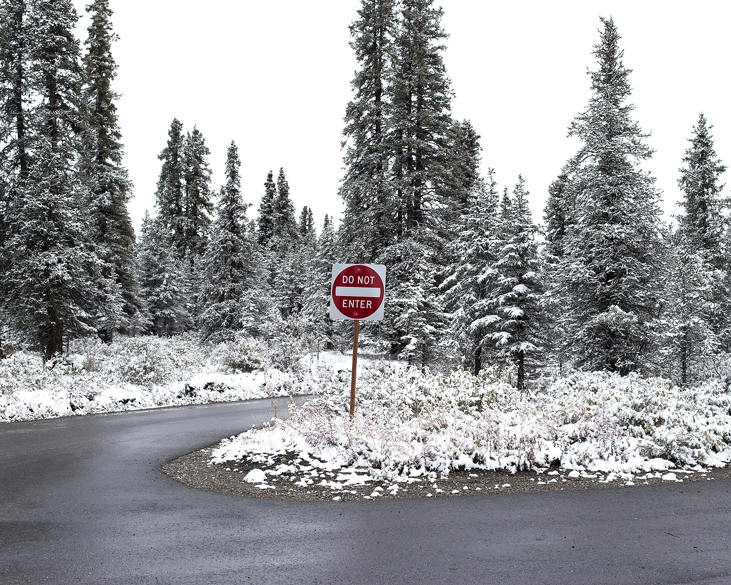 Do Not Enter, 2015