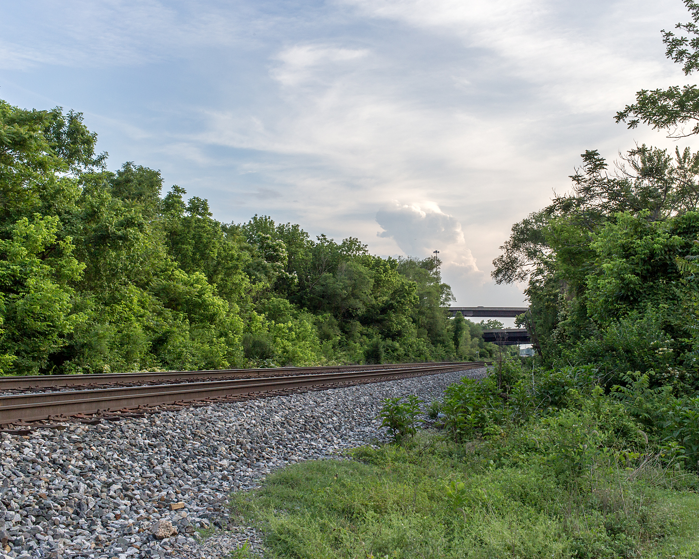  Train Tracks, 2015          