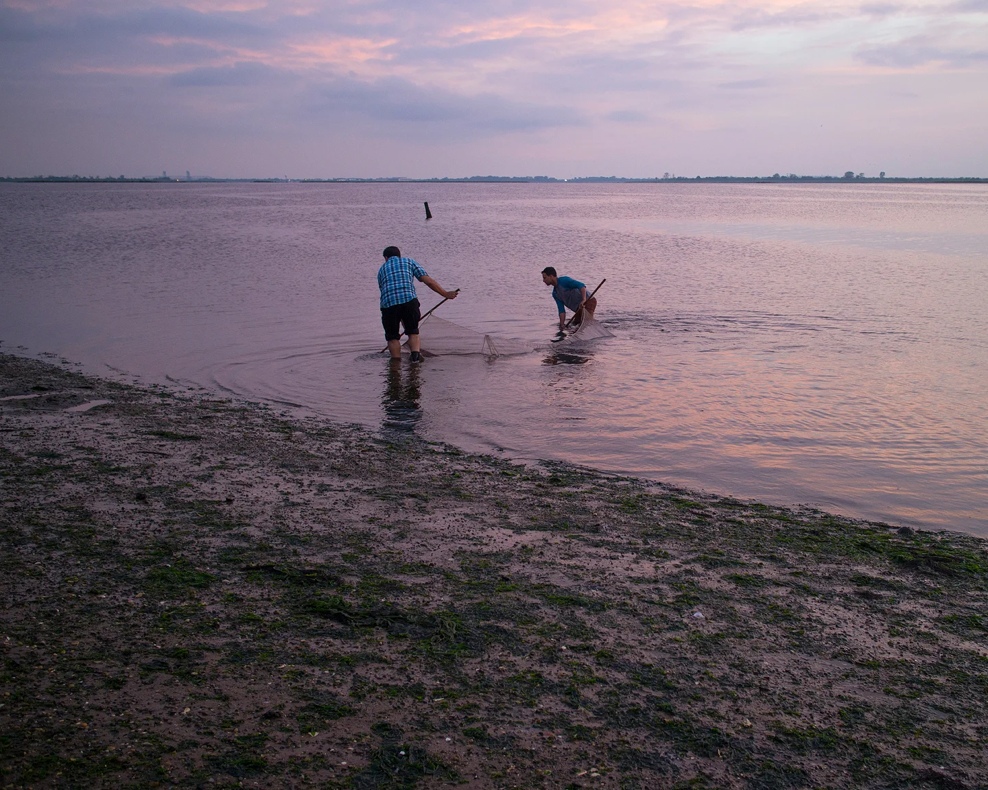 Sunset Fishermen, 2015