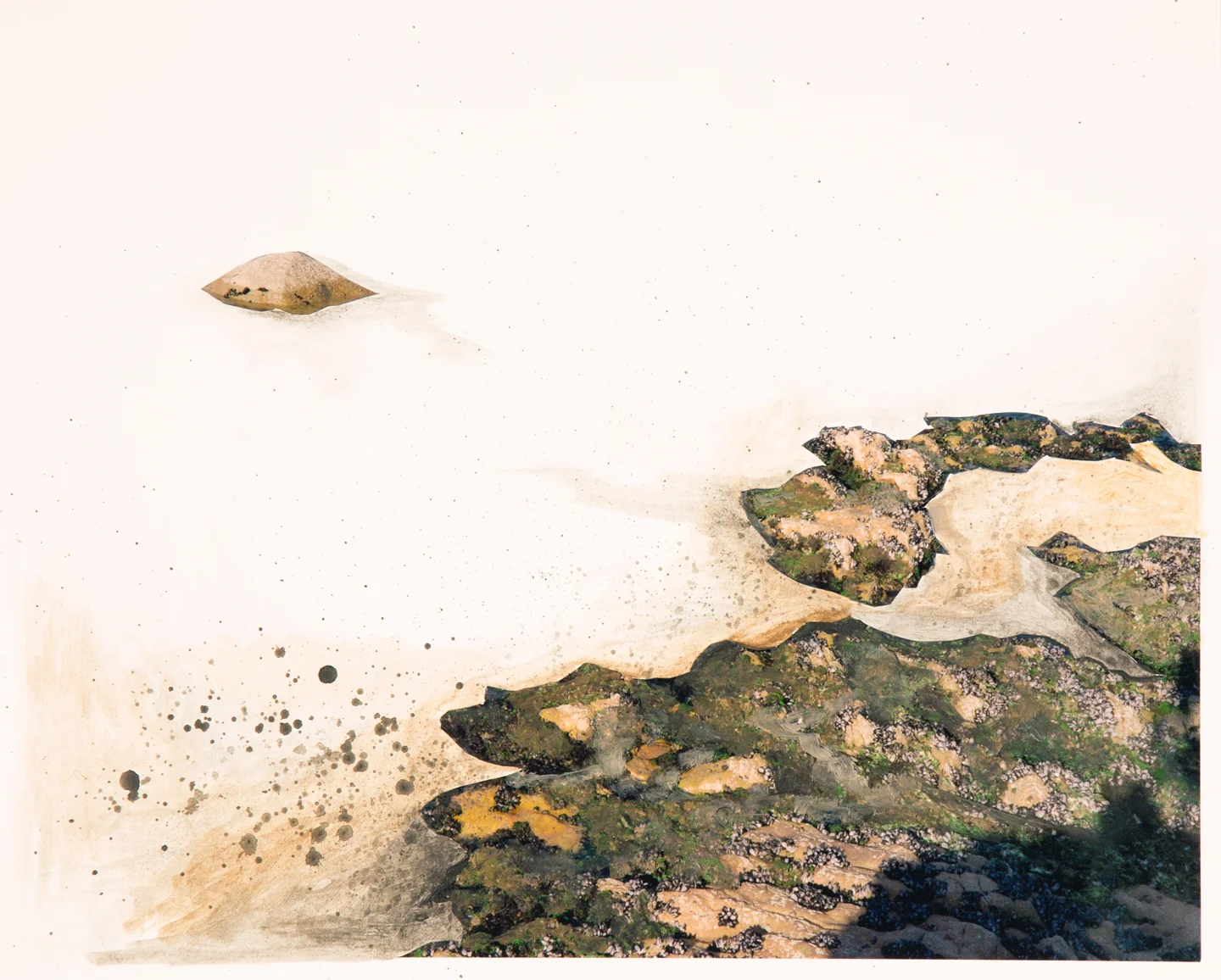 Untitled, 2016 11-3/4 x 14-1/2 inches Acrylic and C-print on paper
