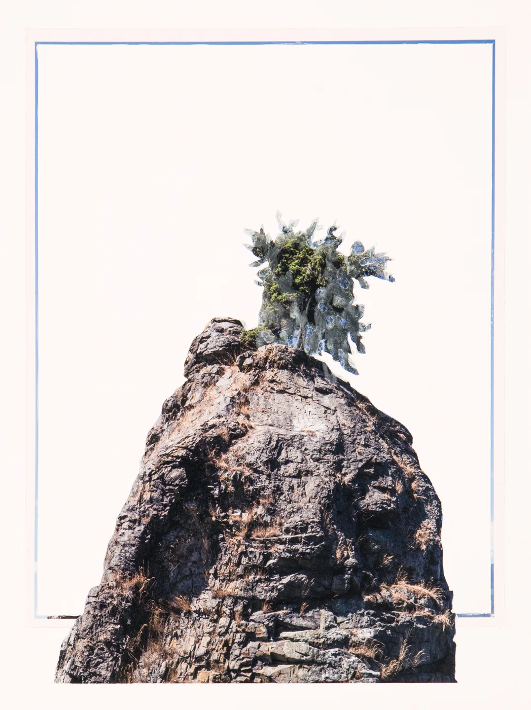 Pineapple Rock, 2017 12 x 9 inches Acrylic and C-print on paper