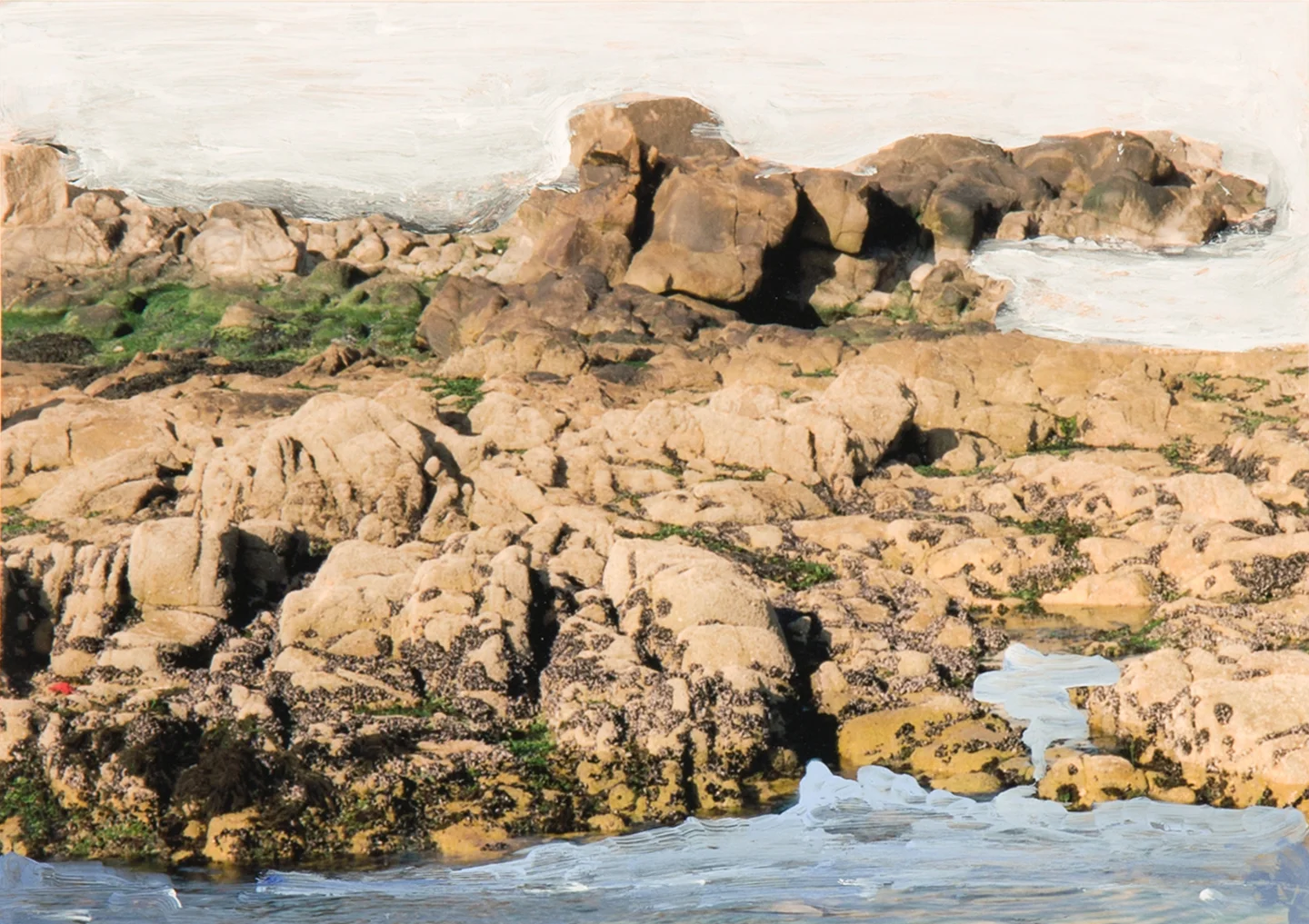 Sea Shore, 2015 5 x 7 inches Acrylic on C-print