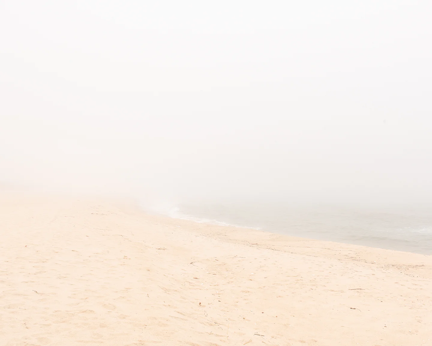 Beach Fog, 2018
