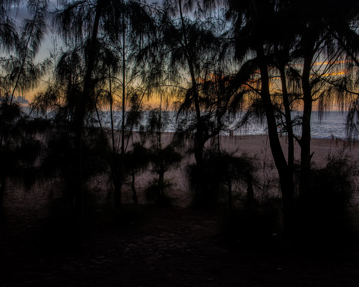 North Shore, 2018