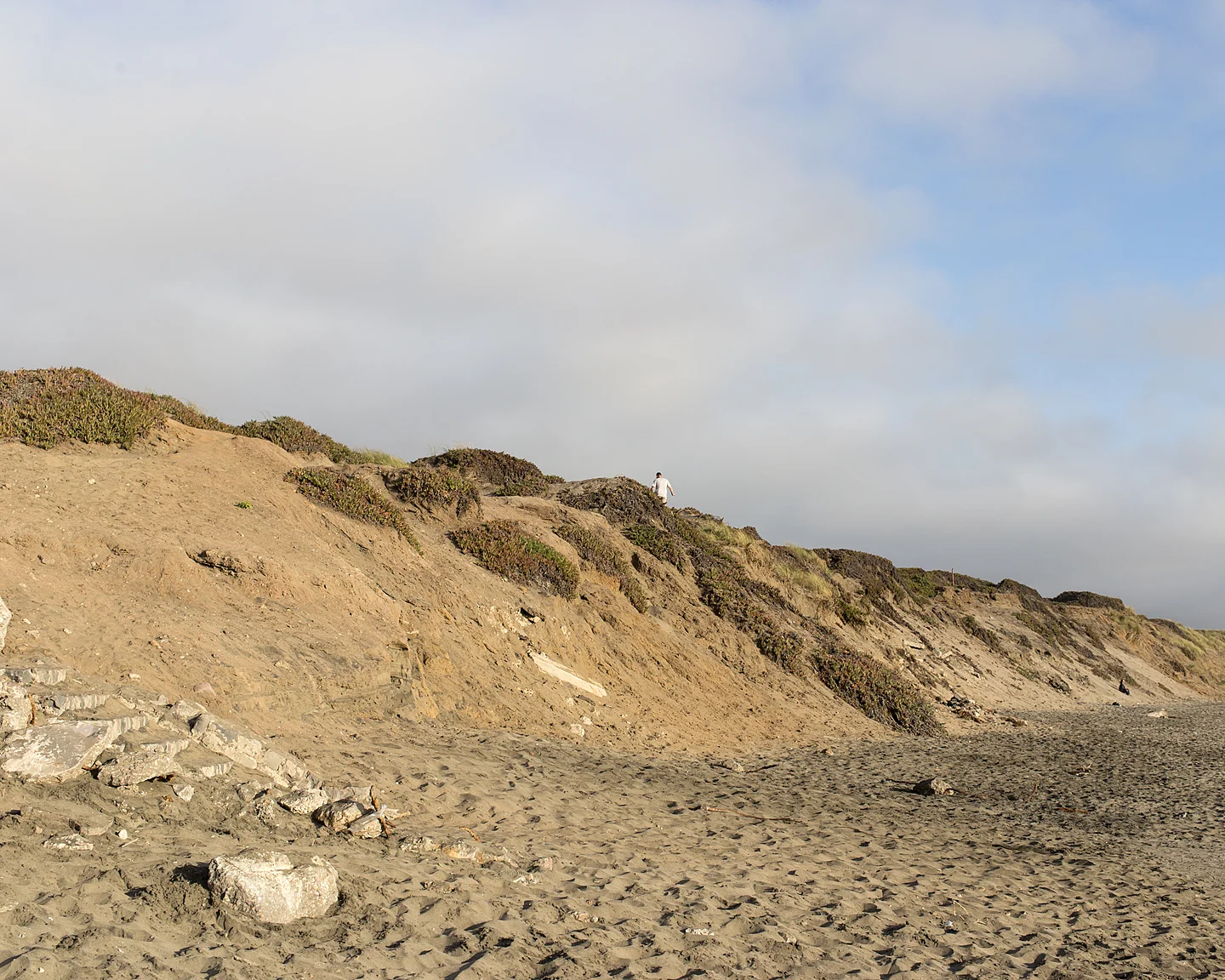 Ocean Beach Dune, 2016