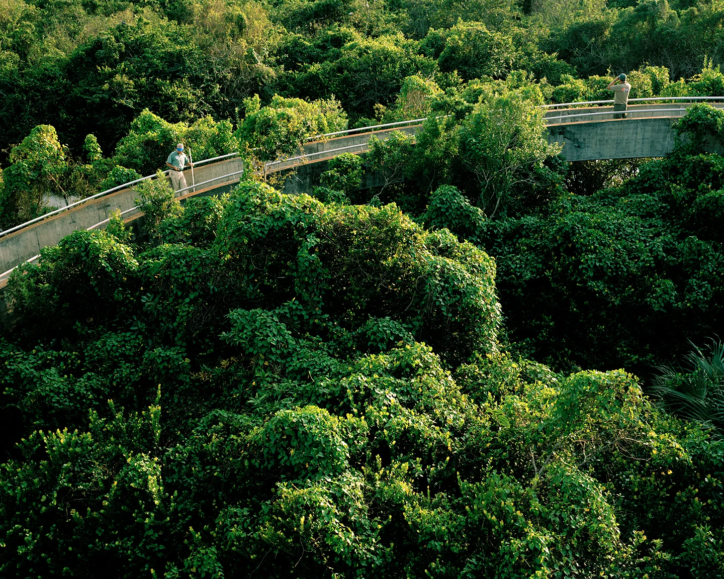 Walkway, 2007