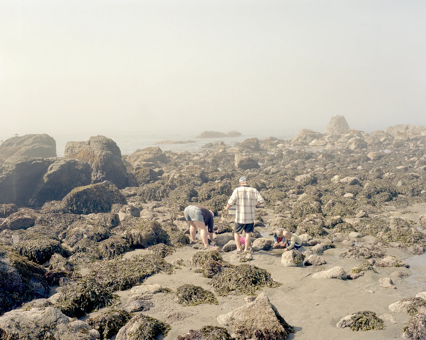 Beach Digging, 2009