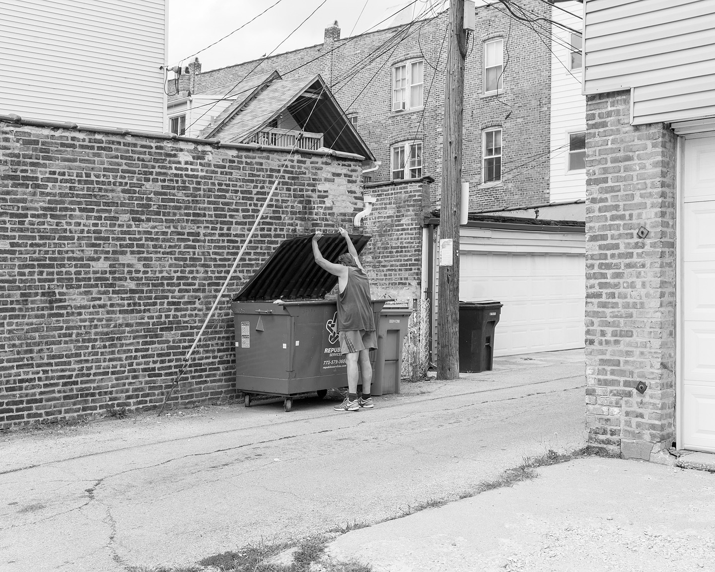  Dumpster Diving, 2017       