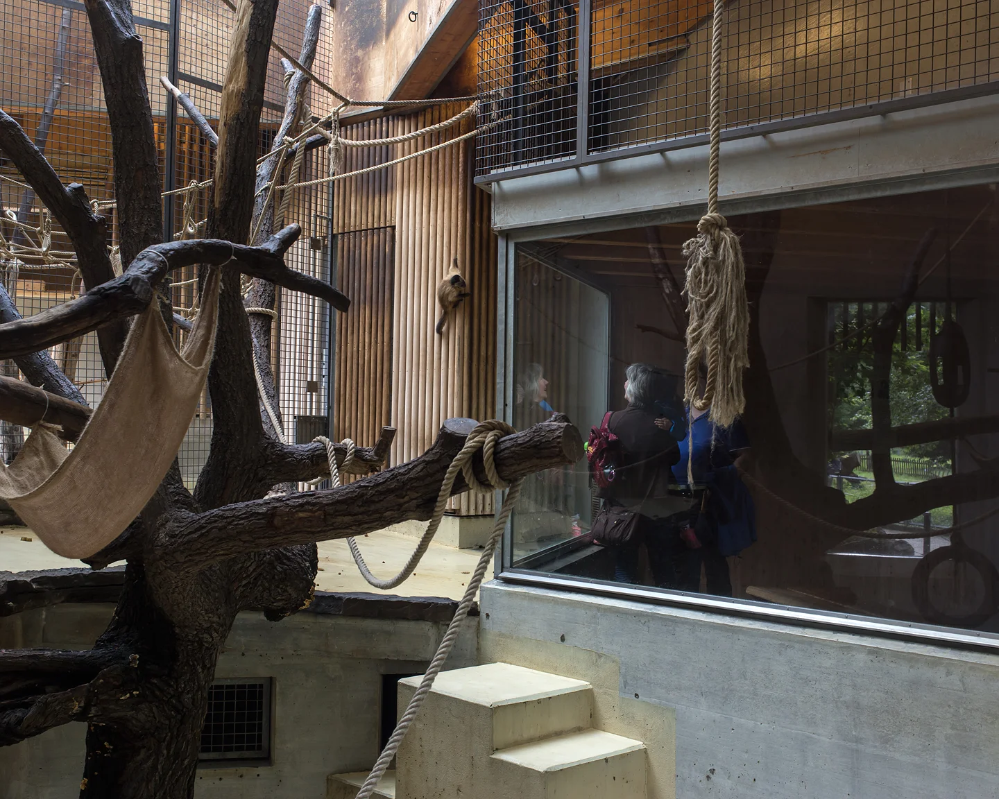 Monkey Enclosure, 2017