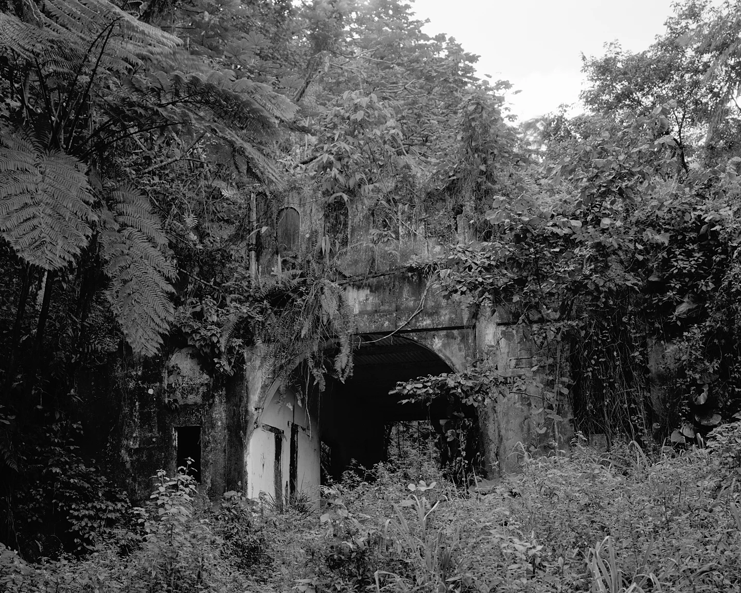 Overgrown Entrance, 2009