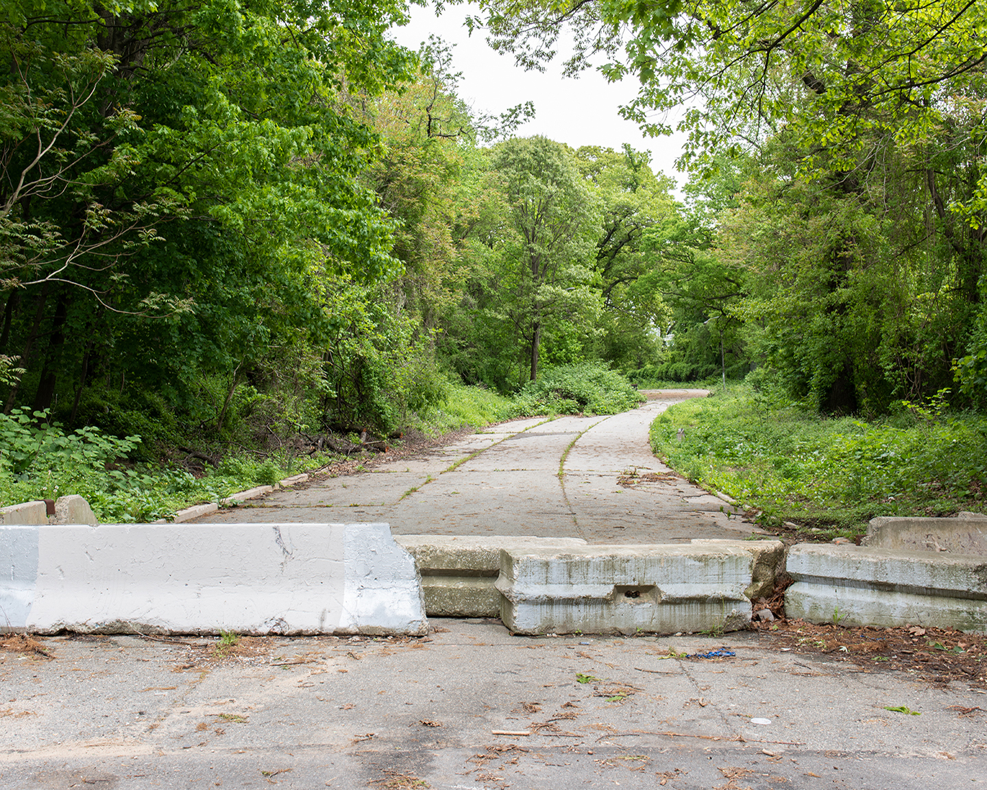  Abandoned Road, 2018       