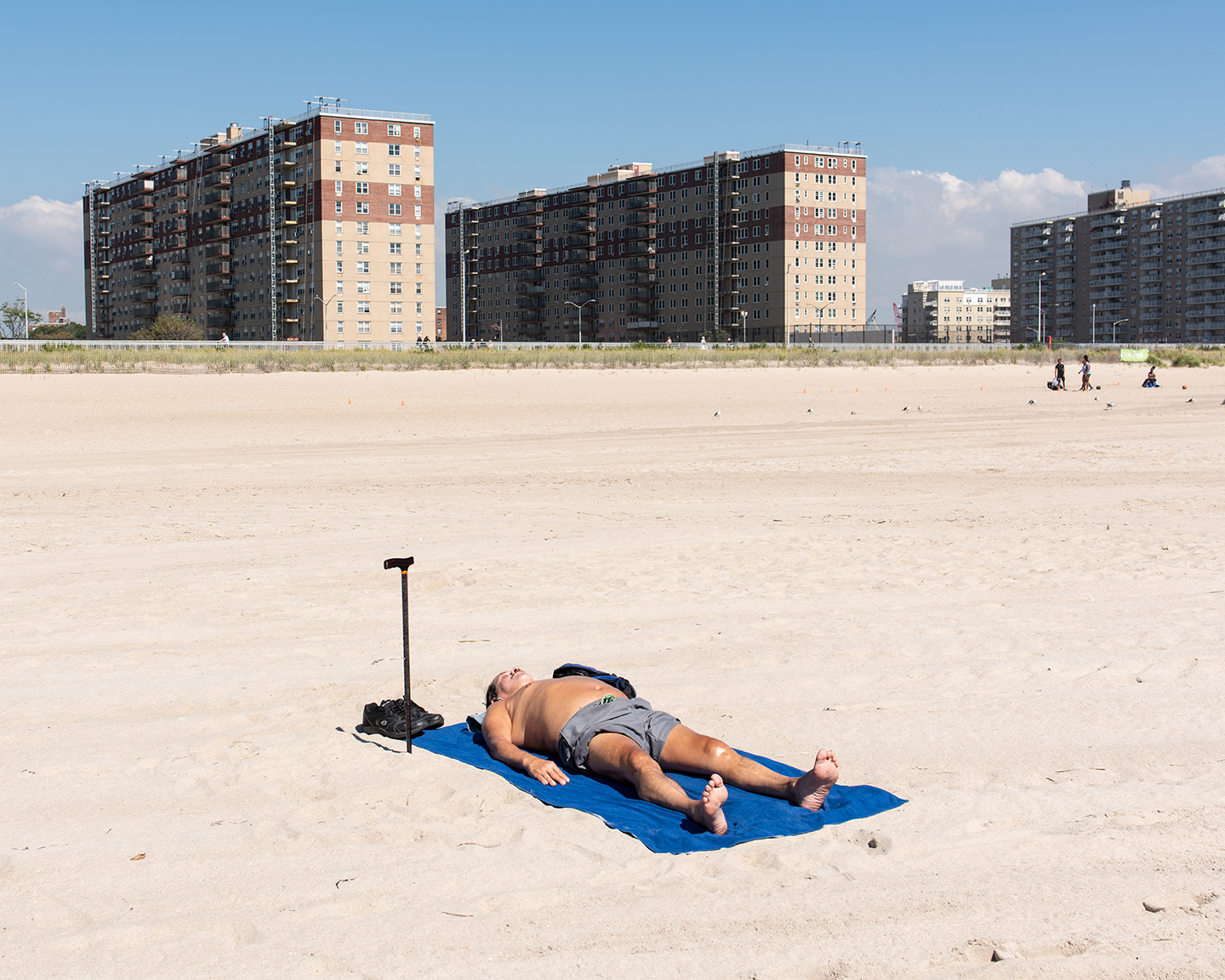  Tanning with Cane, 2018       