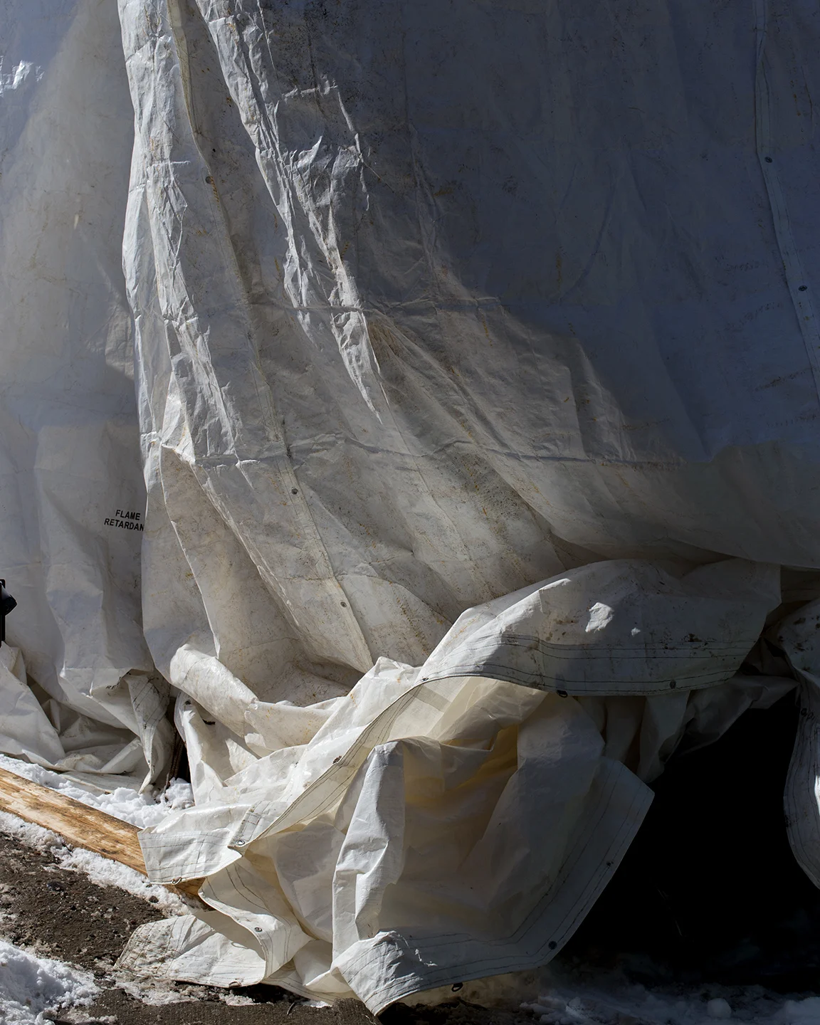 Tarp,