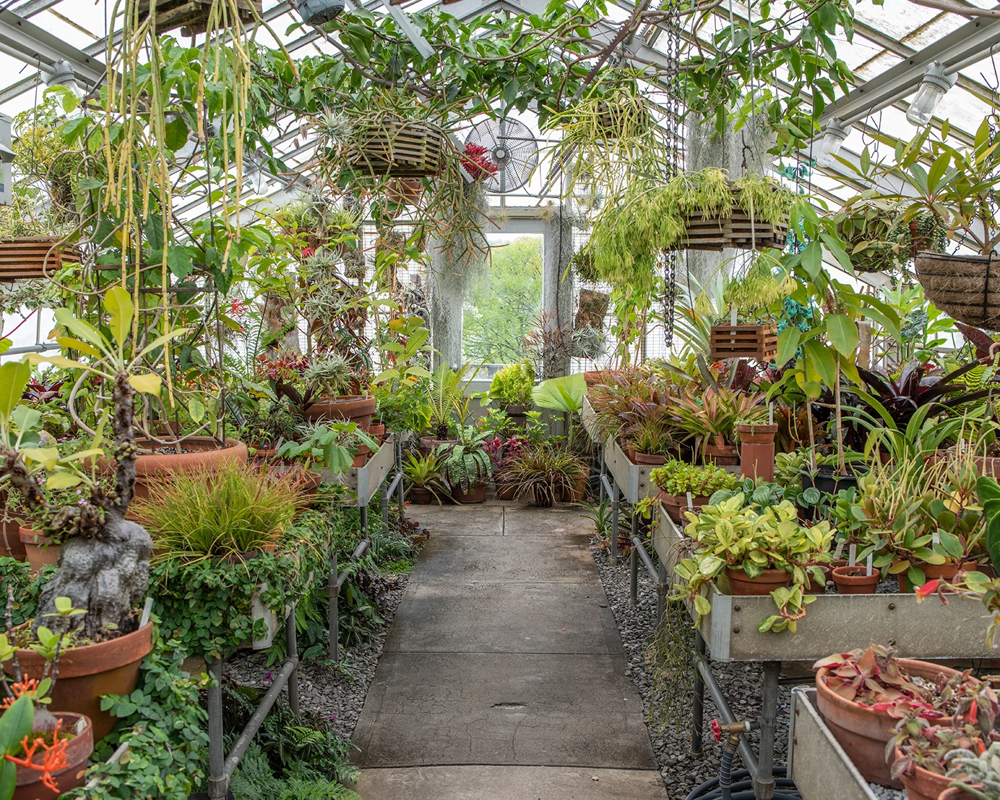 Greenhouse, 2018