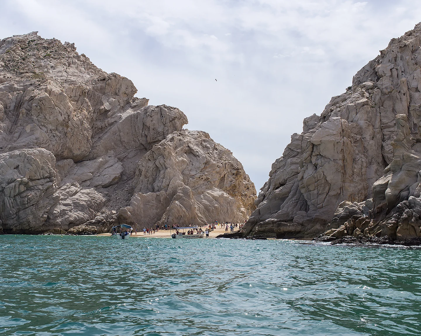 Tourist Beach, 2016