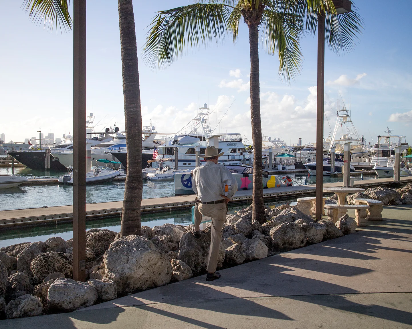 Miami Cowboy, 2015