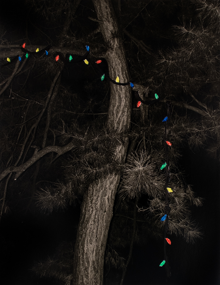  Christmas Lights (Study), 2019  14 x 11 inches  Acrylic on C-print         