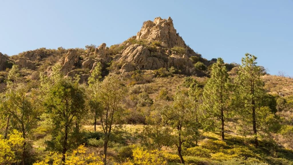 West Hills