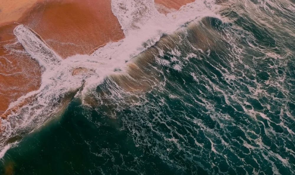 aerial-shot-beach-bird-s-eye-view-971830.jpg