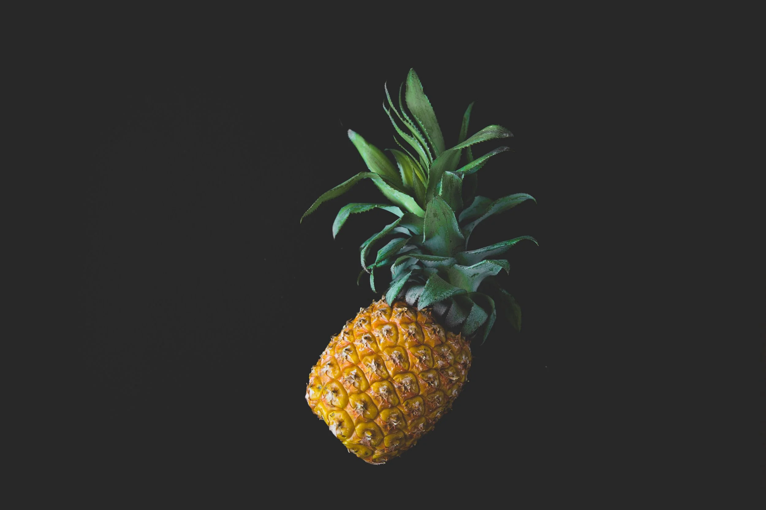 Photo by Tadas Mikuckis on Unsplash