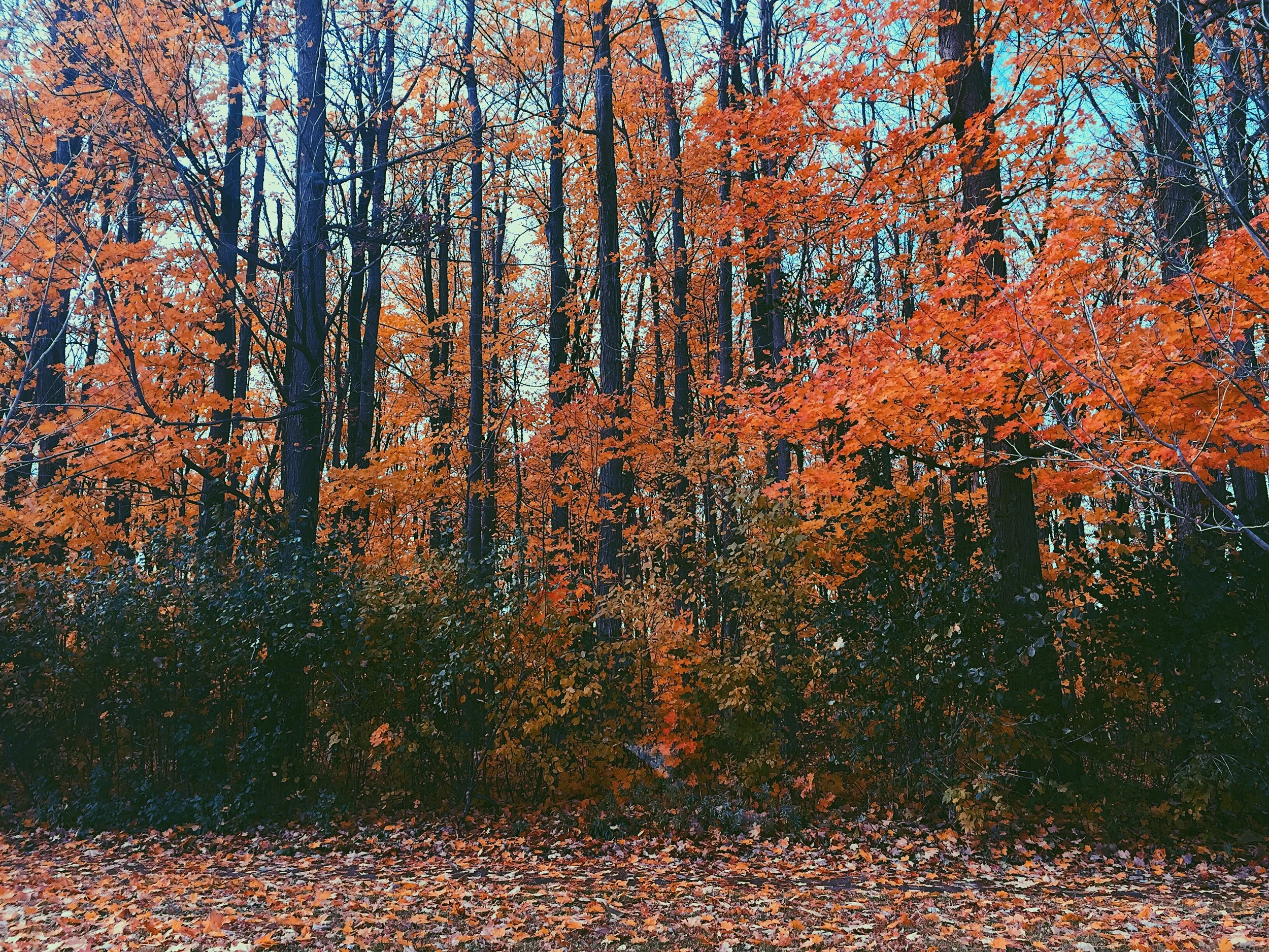 Save the Date: The Autumnal Equinox