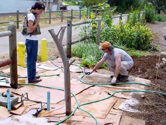 Duke laying out hose on top of the cardboard sheet mulch to plan out a path in the garden installation.