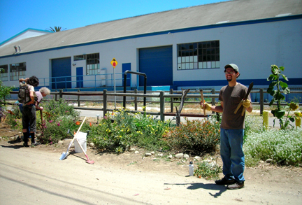 Bryce ready to help Jan and Daniel clean up the garden.