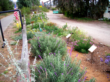 The B3 Garden on Memorial Day 2008.