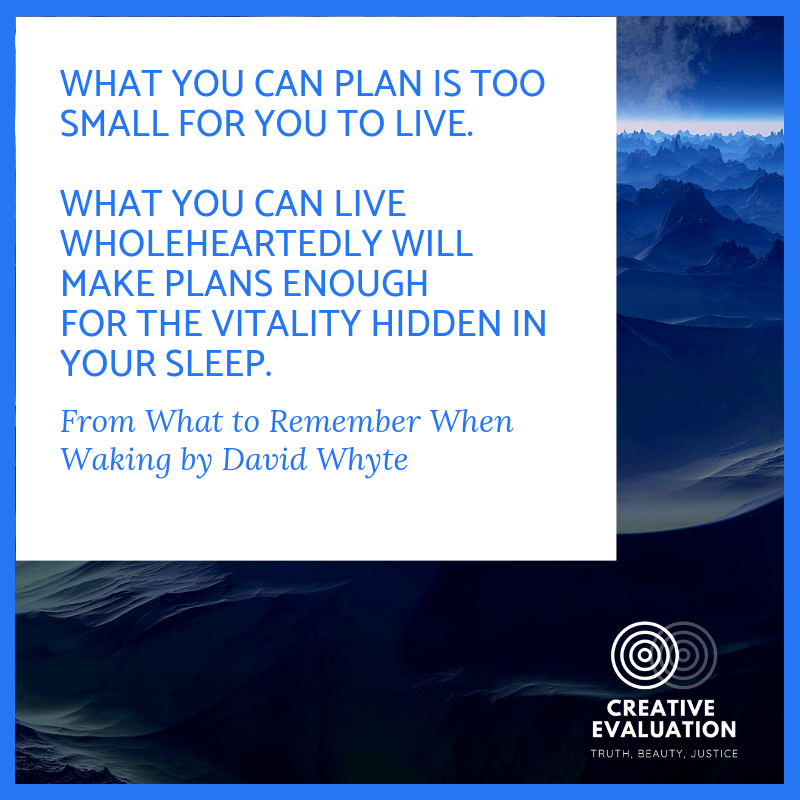 19.03.07 What you can plan is too small for you to live..png
