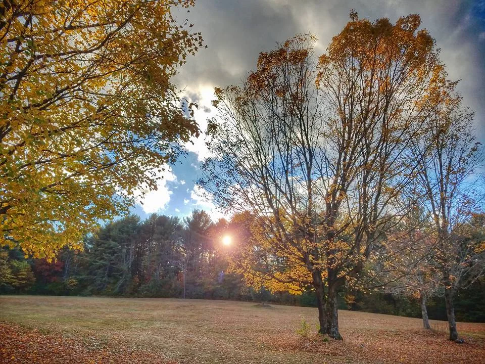 A Venue Walk-Through