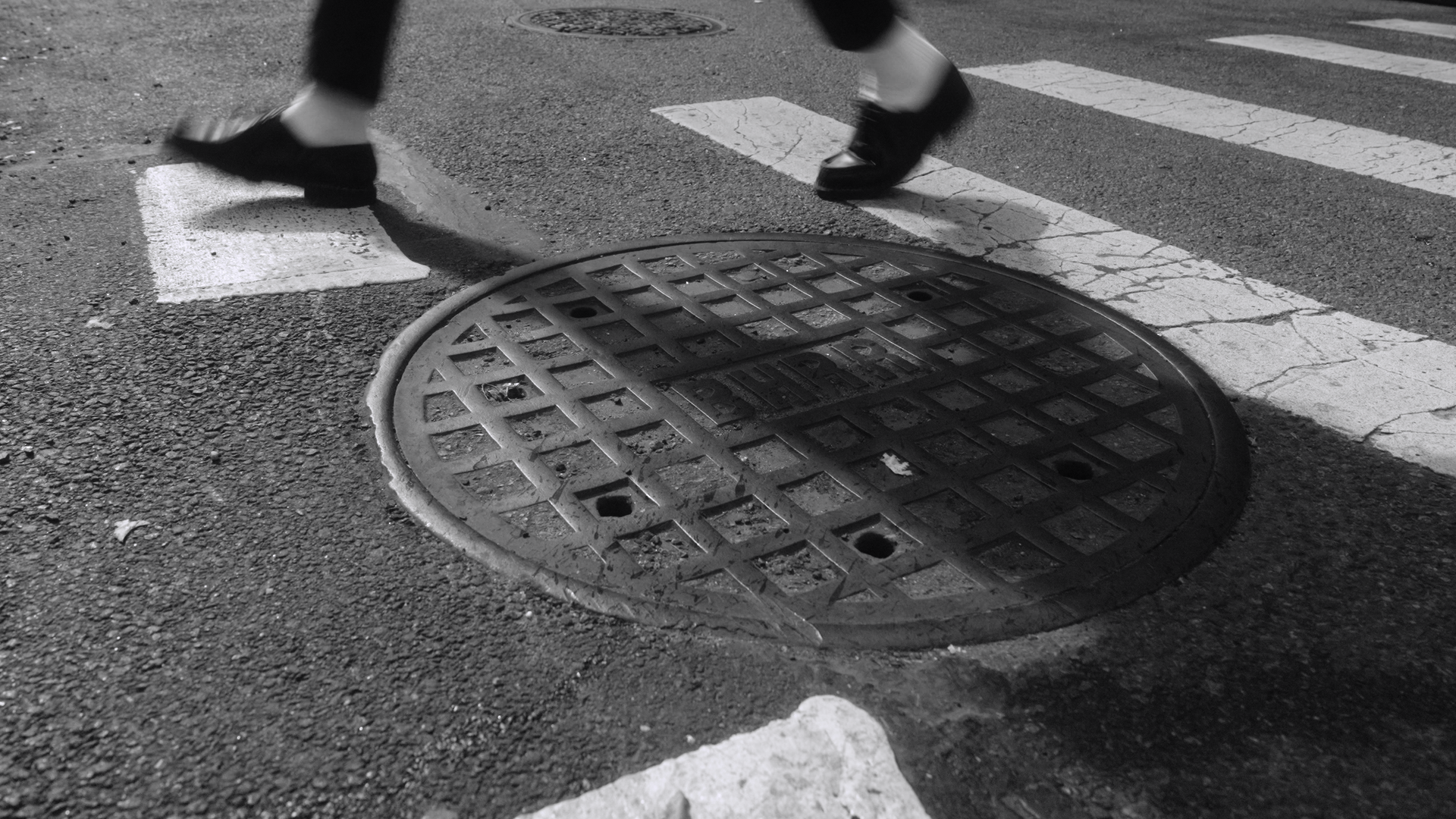 2413 Sam Green FINALS_1.7.1.png