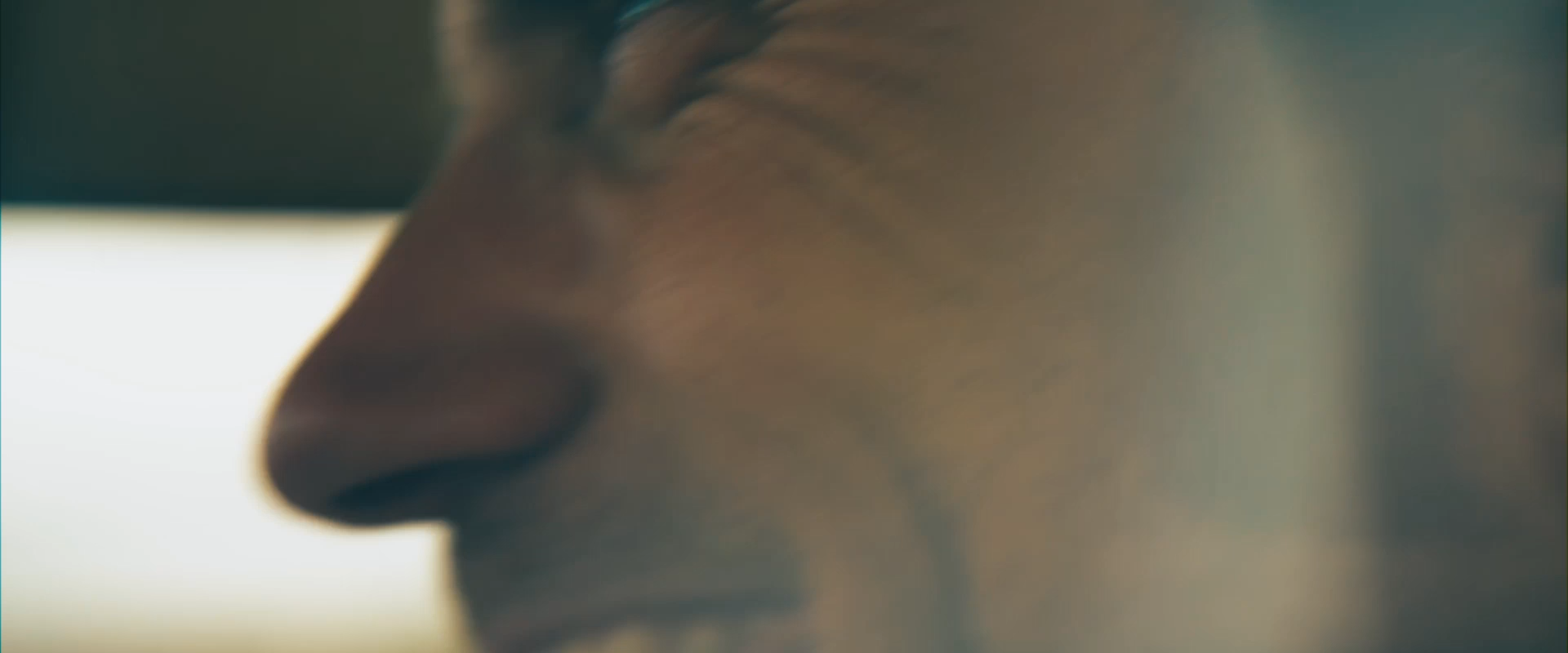 2403 Hagerty FINALSNOBARS_1.17.1.png