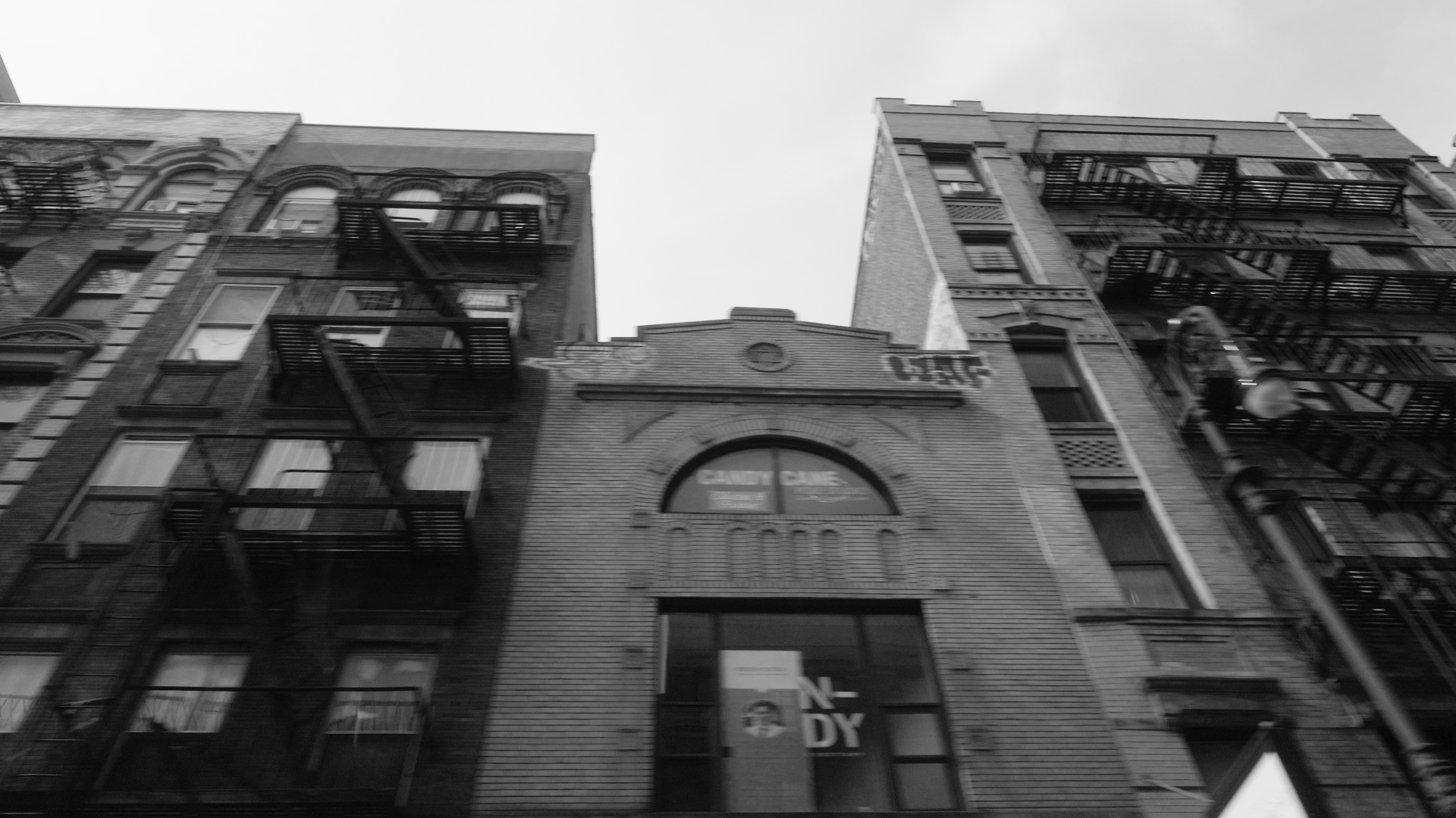 2413 Sam Green FINALS_1.22.1.png