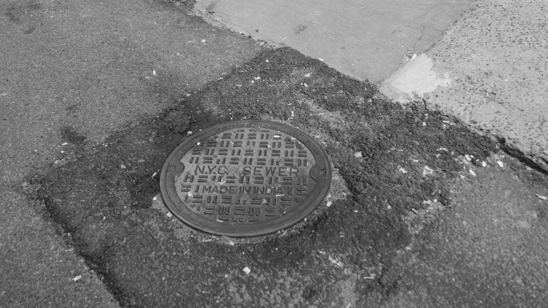 2413 Sam Green FINALS_1.37.1.png