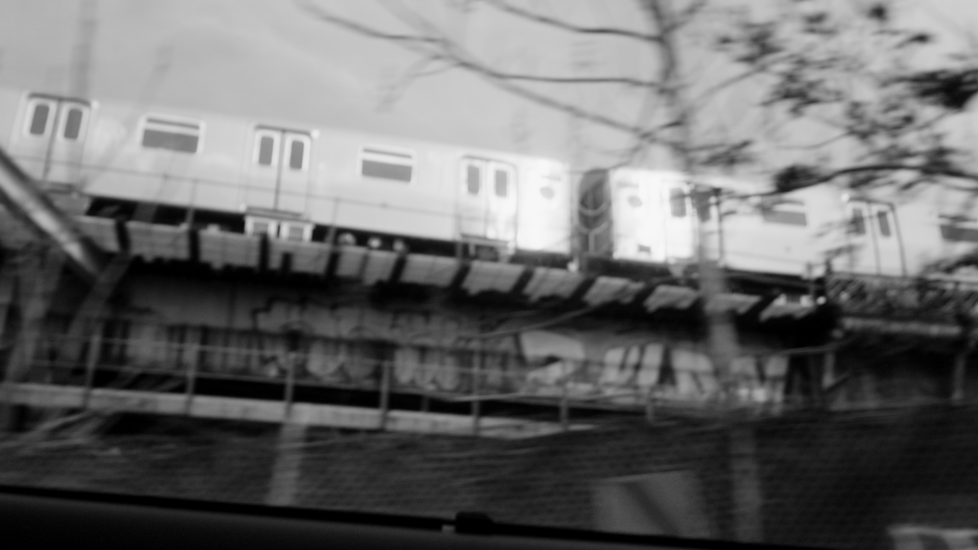 2413 Sam Green FINALS_1.11.1.png