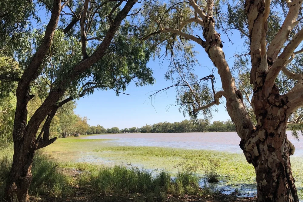 Unpowered Sites — The Lake