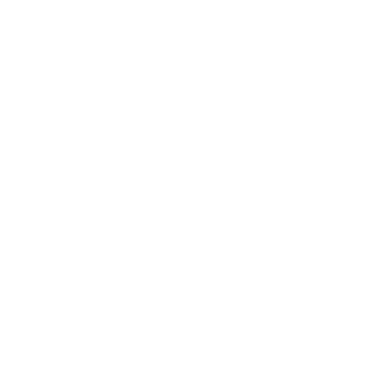 Danny Vee