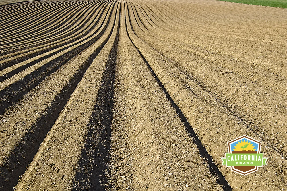 Innovation Strategy, Research, Product Development