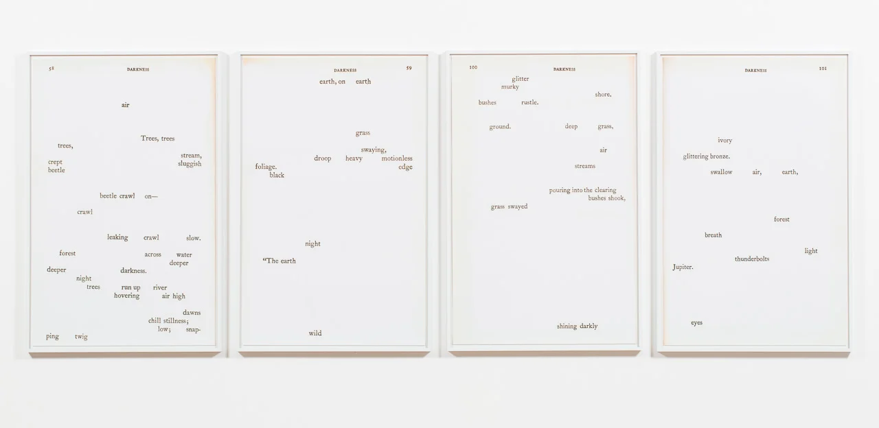 darkness (pages 58, 59, 100, 101), 23" x 33.5," digital c print, 2014