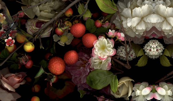 white excess, bioposy #8, digital c print, 2009, 30" x 52"