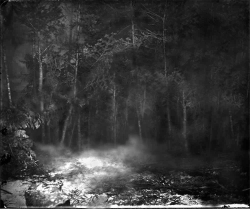 pre-colonial forest, digital print, 8ft x 10ft, 2008