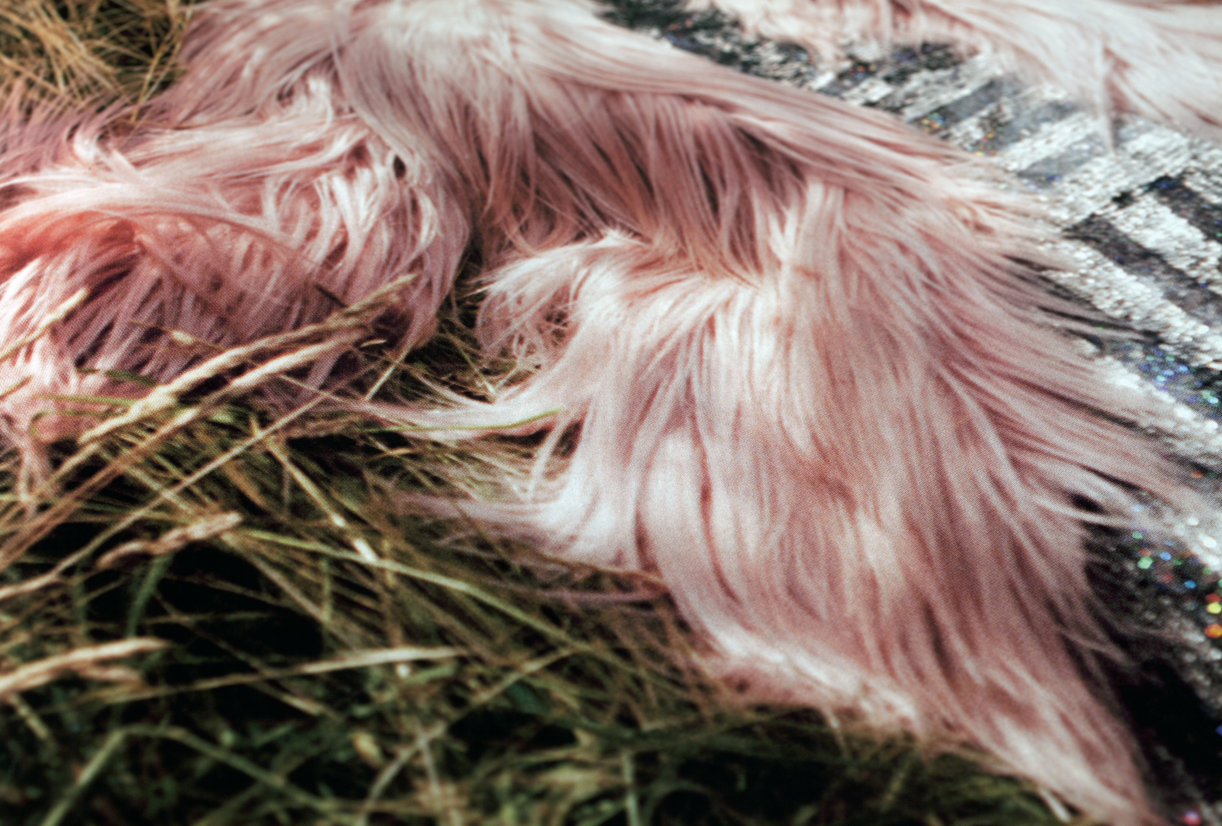 alternate reading 2 (field grass), archival print, 48" x 32", 2015